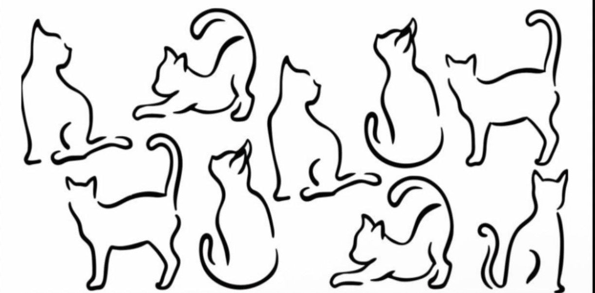 Cats